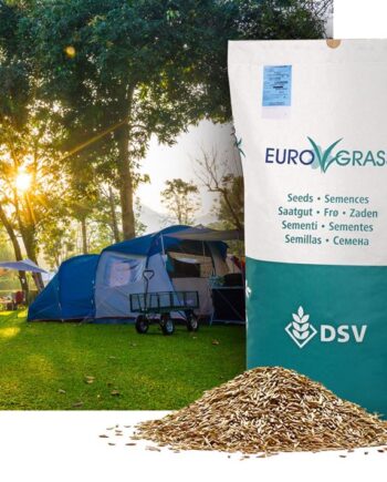 Græsfrø Hunsballe Camping Blanding Euro Grass
